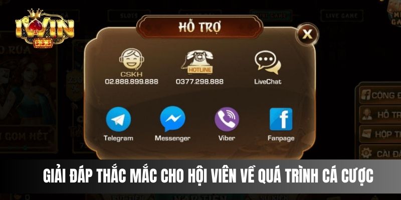 Những giải đáp thắc mắc cho hội viên về quá trình cá cược