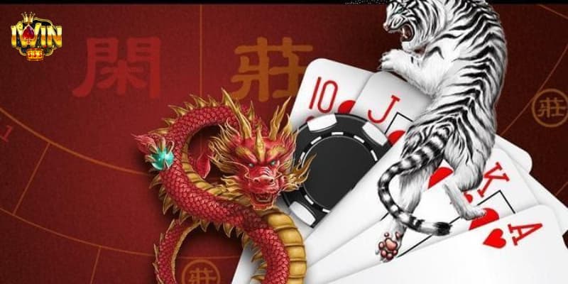 Các cửa đặt phổ biến trong game rồng hổ iwin